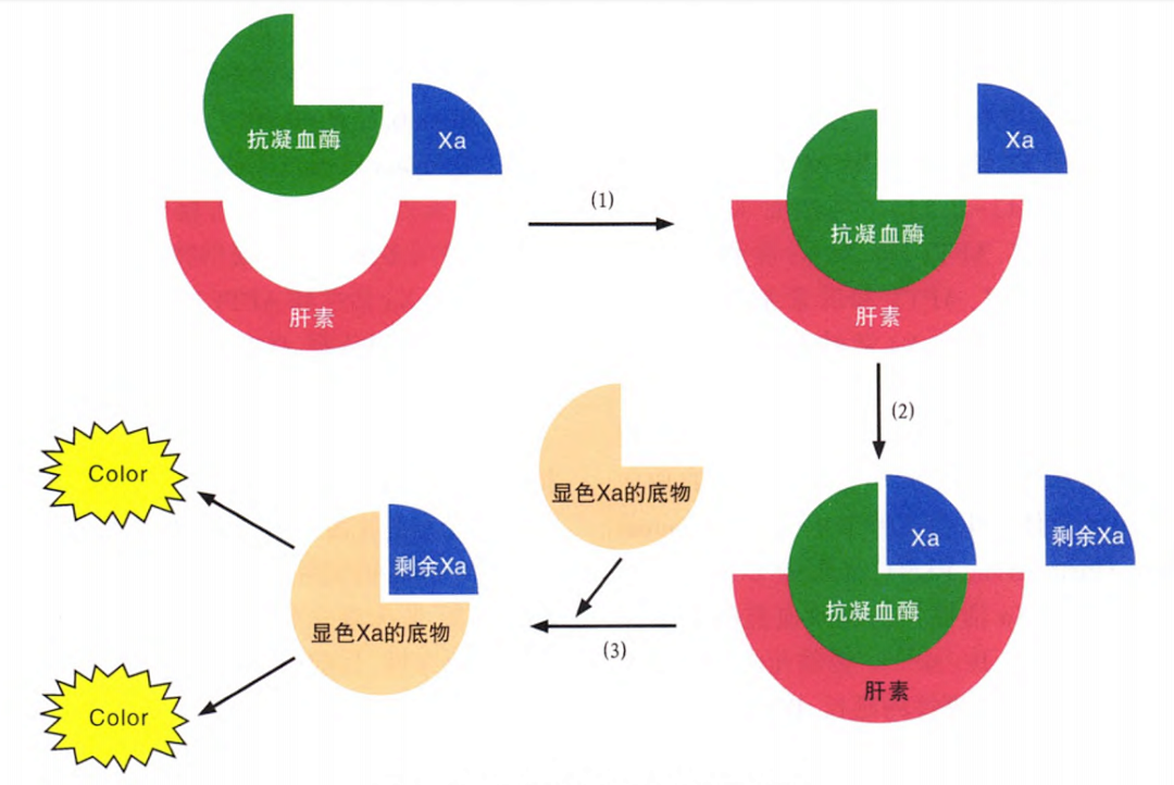 国产抗Xa质量如何？多中心临床研究来告诉你！